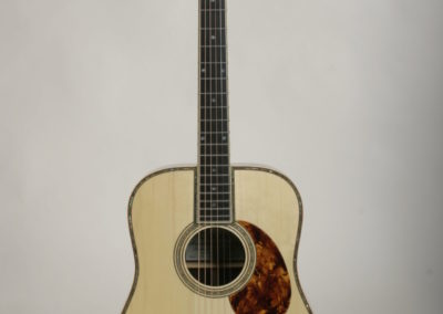 acoustic guitar full front view