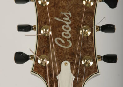 acoustic guitar headstock