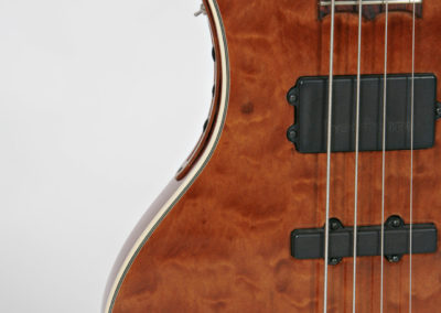 bass guitar vertical view